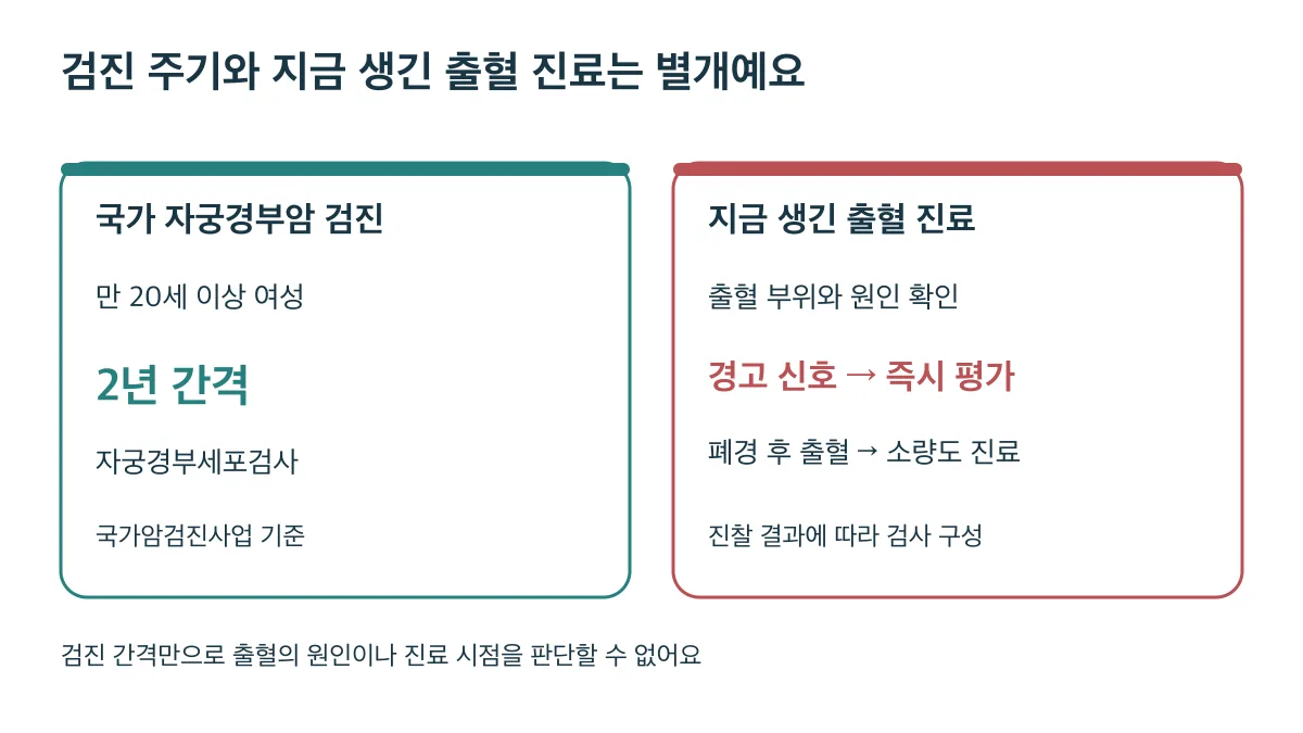 만 20세 이상 여성의 2년 간격 국가 자궁경부암 검진과 현재 출혈의 원인을 확인하는 진료는 별개예요