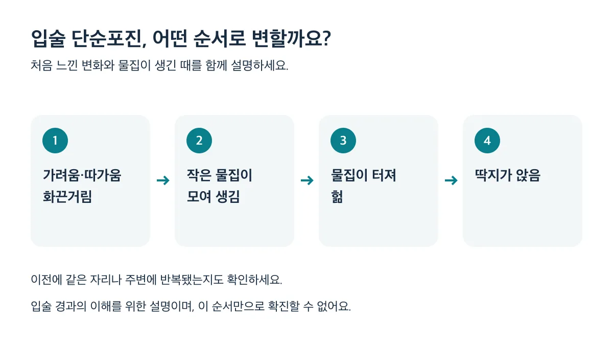 입술 단순포진은 가려움·따가움·화끈거림 뒤 작은 물집이 모여 생기고, 터져 헌 뒤 딱지가 앉는 경과를 보여요