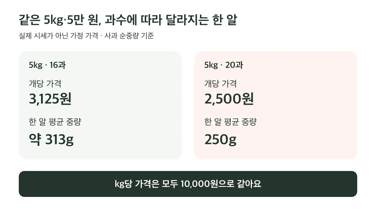 같은 5kg·5만 원에서 16과는 개당 3,125원·평균 약 313g, 20과는 2,500원·250g이며 kg당 가격은 같다