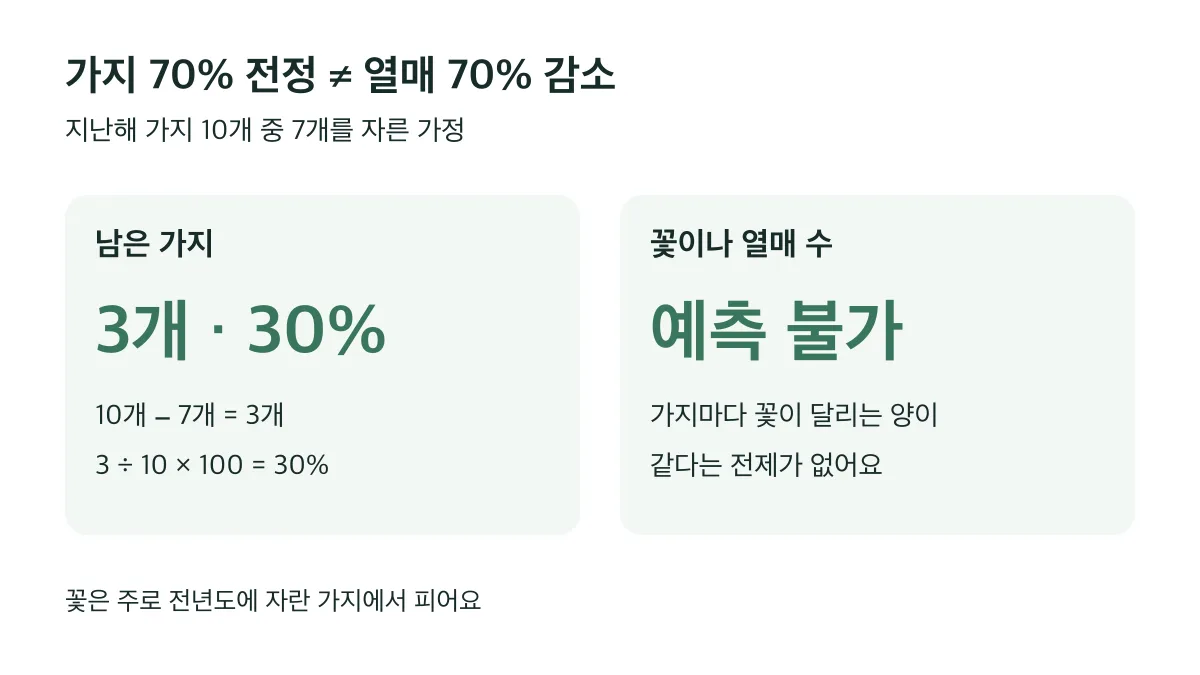 지난해 가지 10개 중 7개를 자르면 3개가 남지만 꽃과 열매 수는 예측할 수 없어요