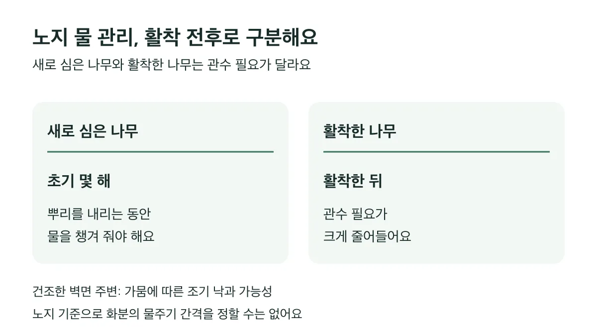 노지에 새로 심은 나무는 초기 몇 해 물 관리가 필요하고 활착한 뒤에는 관수 필요가 크게 줄어요
