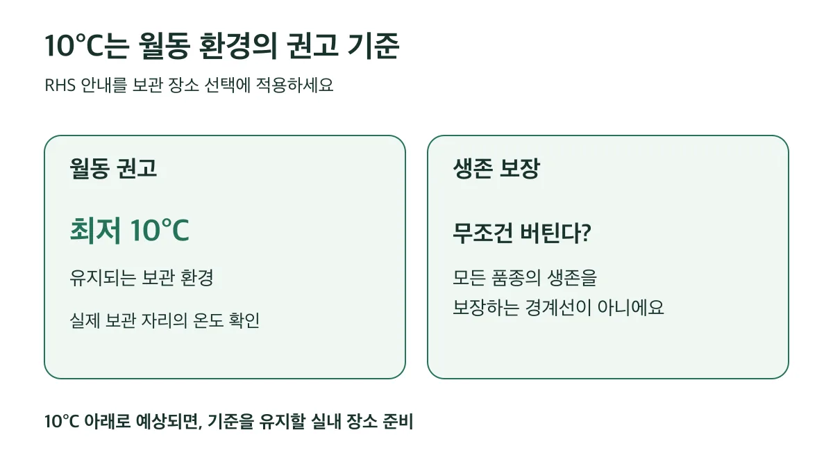 최저 10°C는 RHS의 월동 보관 환경 권고이며 모든 품종의 생존을 보장하는 경계선이 아닙니다