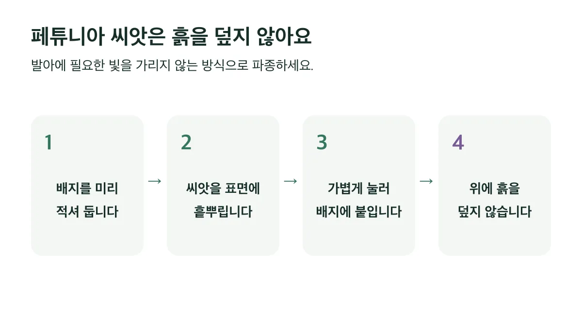 배지를 적시고 씨앗을 표면에 흩뿌려 가볍게 누른 뒤 흙을 덮지 않는 파종 4단계