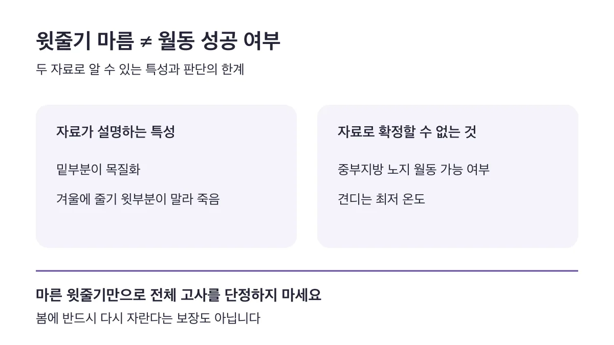 겨울 윗줄기 마름과 밑부분 목질화는 설명되지만 중부지방 노지 월동과 최저 온도는 확정할 수 없습니다