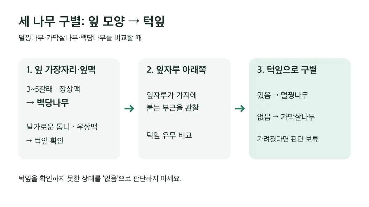 세 나무는 잎 모양을 먼저 보고, 톱니 잎이면 턱잎 유무로 덜꿩나무와 가막살나무를 구별한다