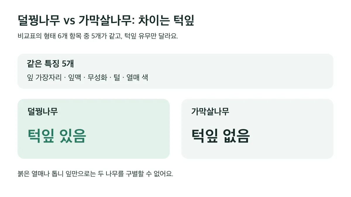 이 글이 교재에서 옮긴 형태 6개 항목 중 덜꿩나무와 가막살나무는 5개가 같고 턱잎 유무만 다르다