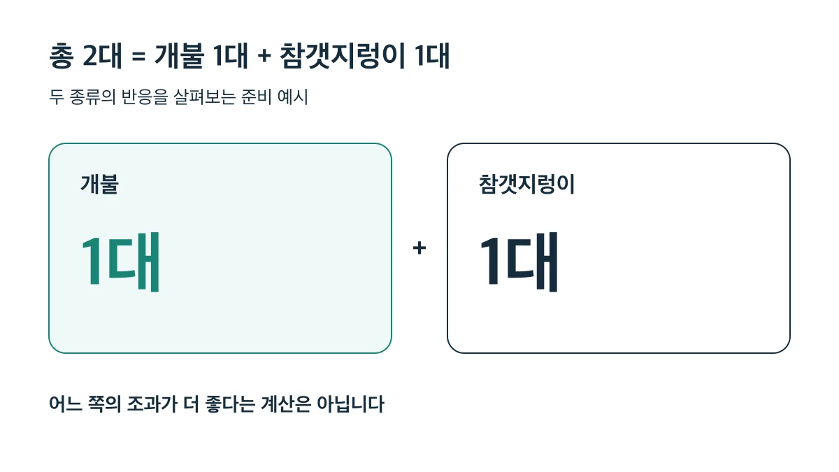 총 2대에 개불과 참갯지렁이를 1대씩 배분해 반응을 살피는 준비 예시이며 조과 우위를 뜻하지 않는다