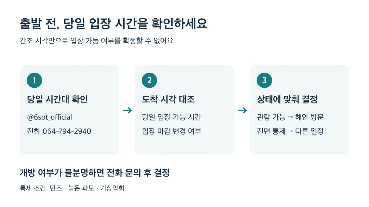 당일 관람 시간 확인, 도착 시각 대조, 개방 상태에 따른 동선 결정 순서