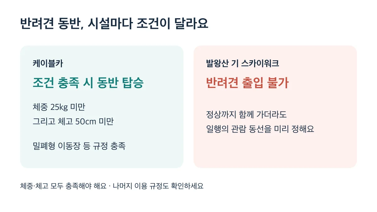 반려견은 체중 25kg 미만과 체고 50cm 미만 및 이동장 등 규정 충족 시 케이블카 동반 가능하지만 스카이워크 출입은 불가