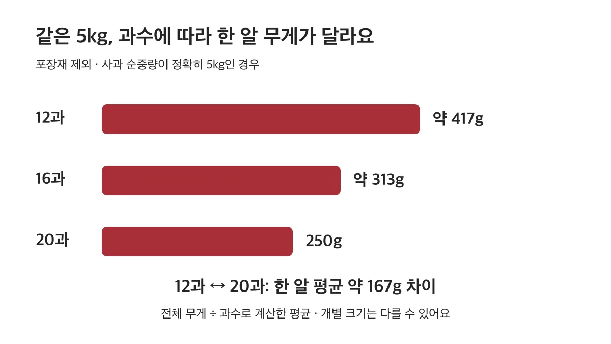 사과 순중량 5kg 기준 12과는 평균 약 417g, 16과는 약 313g, 20과는 250g이에요