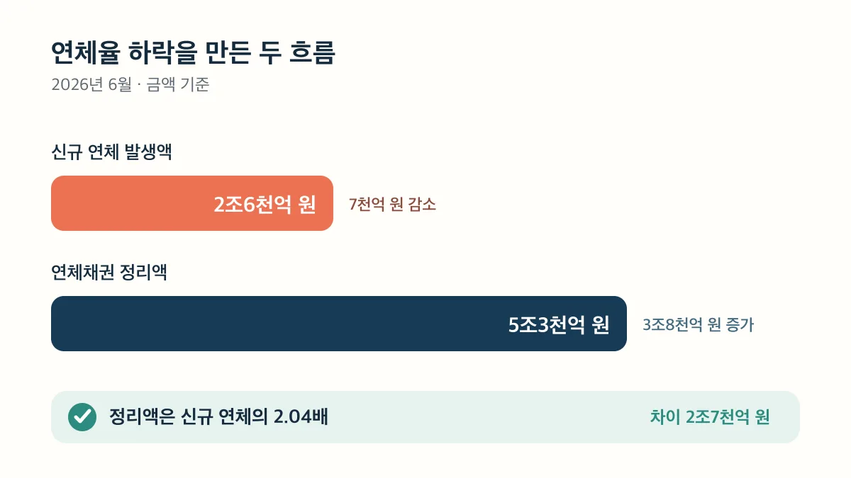연체채권 정리액이 신규 연체 발생액의 2.04배임을 보여주는 비교