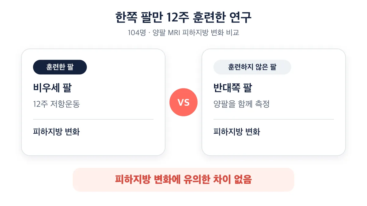 한쪽 팔만 12주 훈련해도 양팔 피하지방 변화에 유의한 차이가 없었던 연구 결과