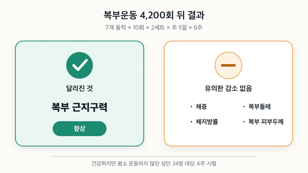 복부운동 4,200회 뒤 복부 근지구력은 향상됐지만 지방 관련 지표는 유의하게 감소하지 않은 결과