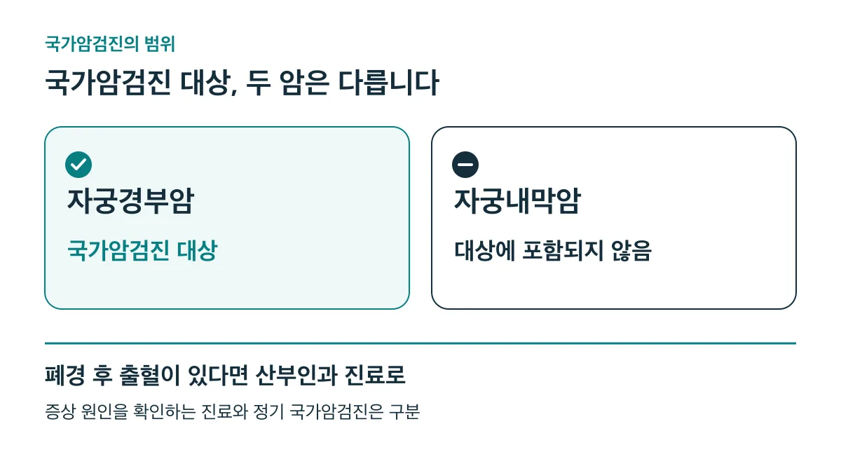 자궁경부암은 국가암검진 대상이지만 자궁내막암은 포함되지 않으며, 폐경 후 출혈은 산부인과 진료로 연결해야 합니다