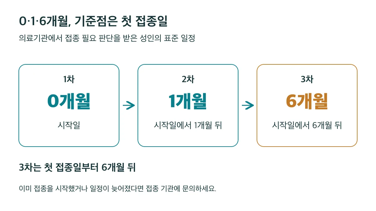 접종이 필요하다고 판단받은 성인의 표준 3회 일정은 첫 접종일 기준 0·1·6개월이며, 3차는 첫 접종일부터 6개월 뒤입니다