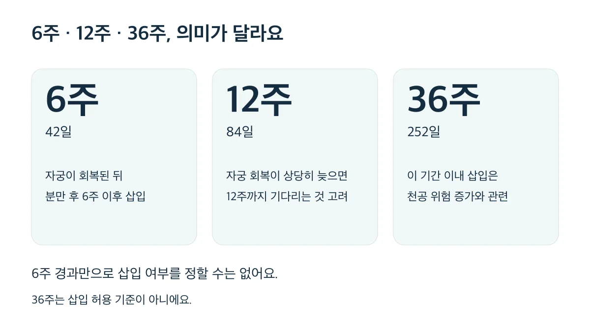 분만 후 6주는 자궁 회복과 함께 보는 삽입 시기, 12주는 회복 지연 시 고려, 36주는 천공 위험 관련 기간이에요