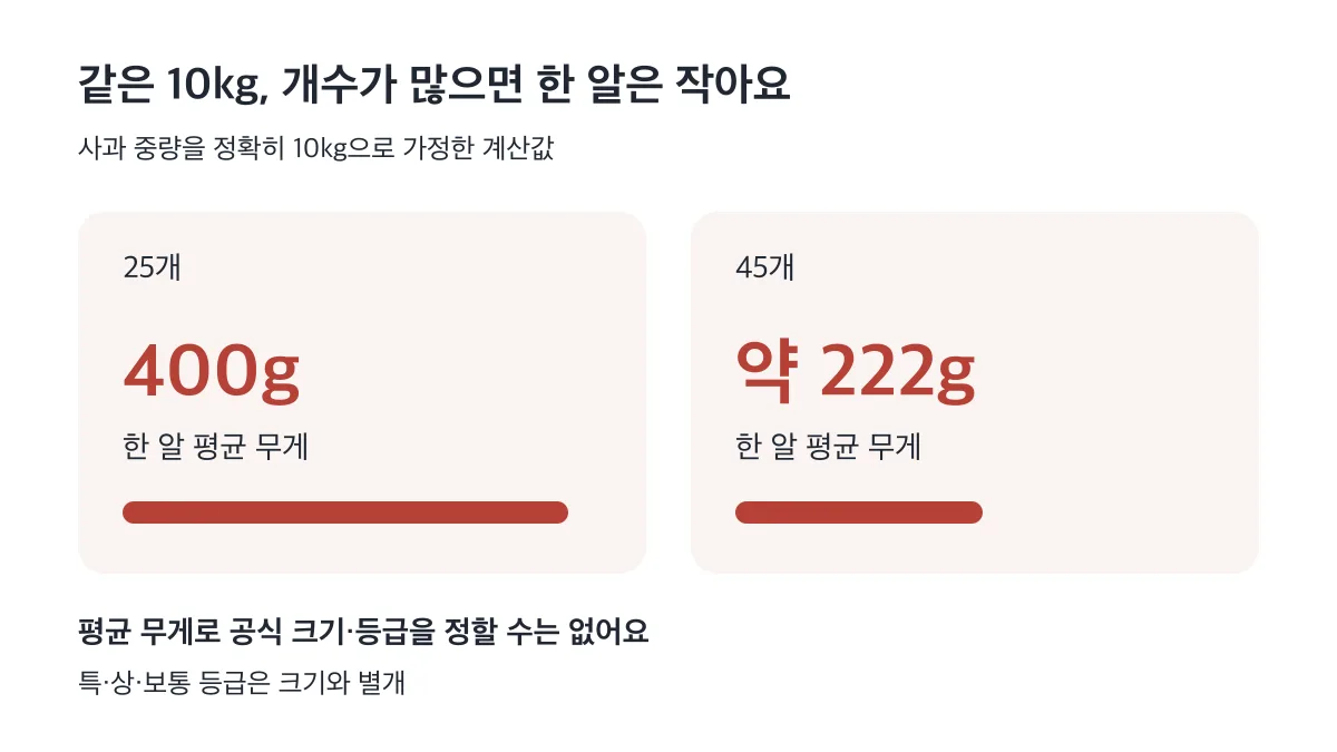 사과 10kg 기준 25개는 평균 400g, 45개는 약 222g이며 평균만으로 공식 크기나 등급을 정할 수 없다