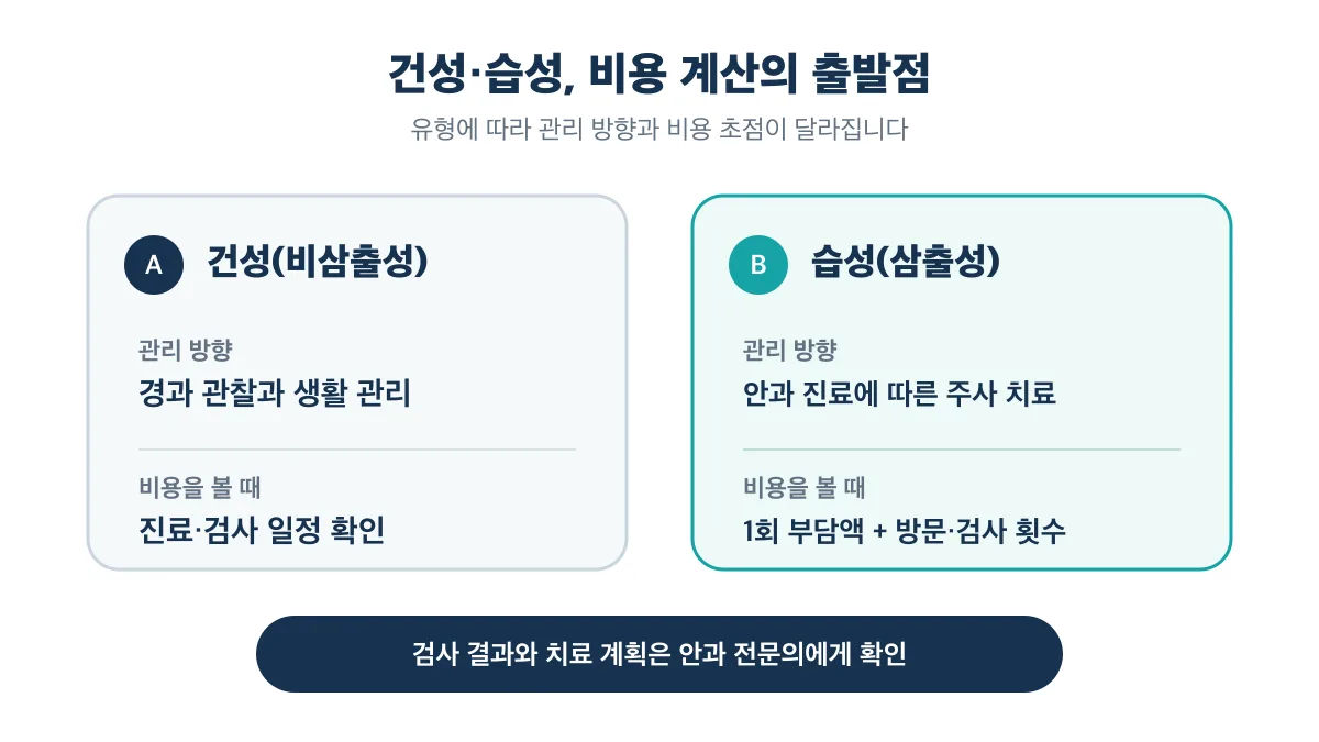 건성과 습성 황반변성의 관리 방향과 비용 확인 초점 비교