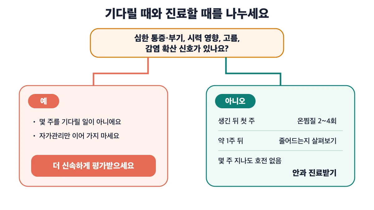 증상에 따라 기다릴 때와 안과 진료할 때를 나누는 기준
